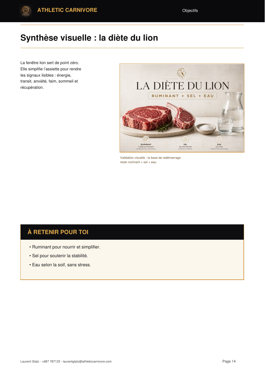 Synthèse visuelle de la diète du lion dans le rapport premium